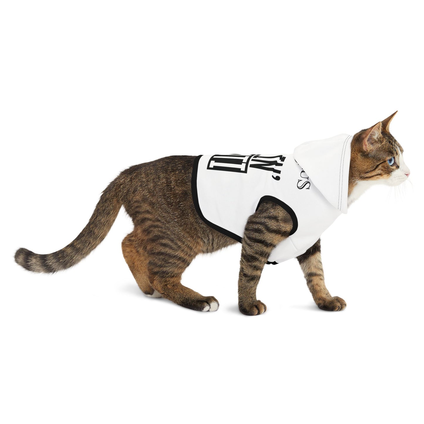 Pet Hoodie — "Feelin' Nauti" Nautical Anchor Dog & Cat Hoodie
