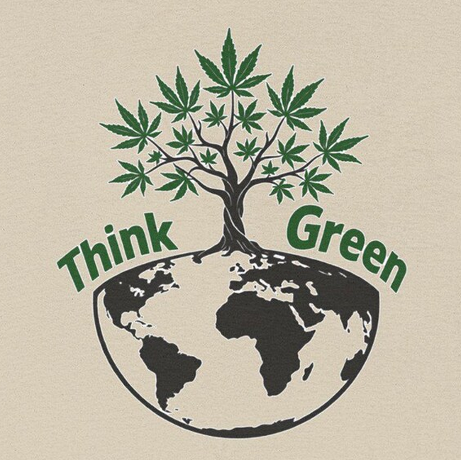 Weed, Psychedelia and more