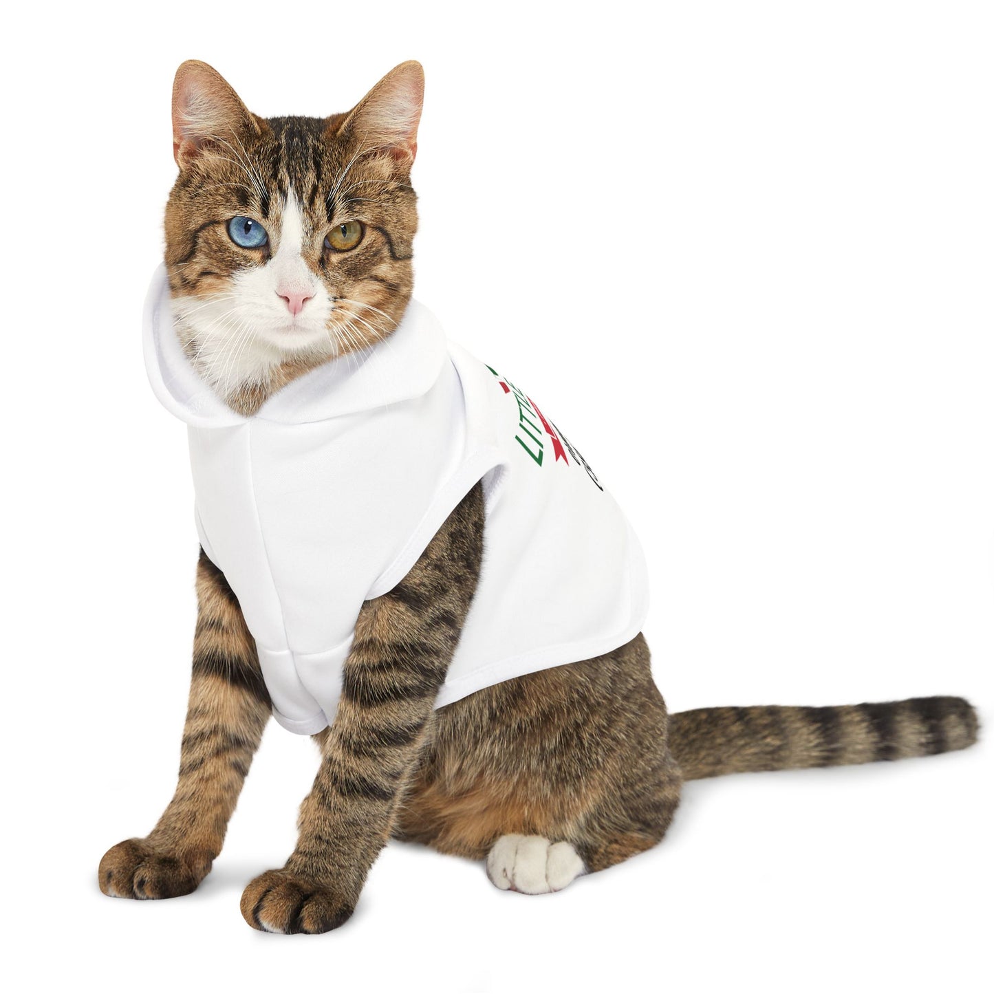 Little Italy's Ristaurante Pet Hoodie | Ormond Beach | Italian American Flag Logo