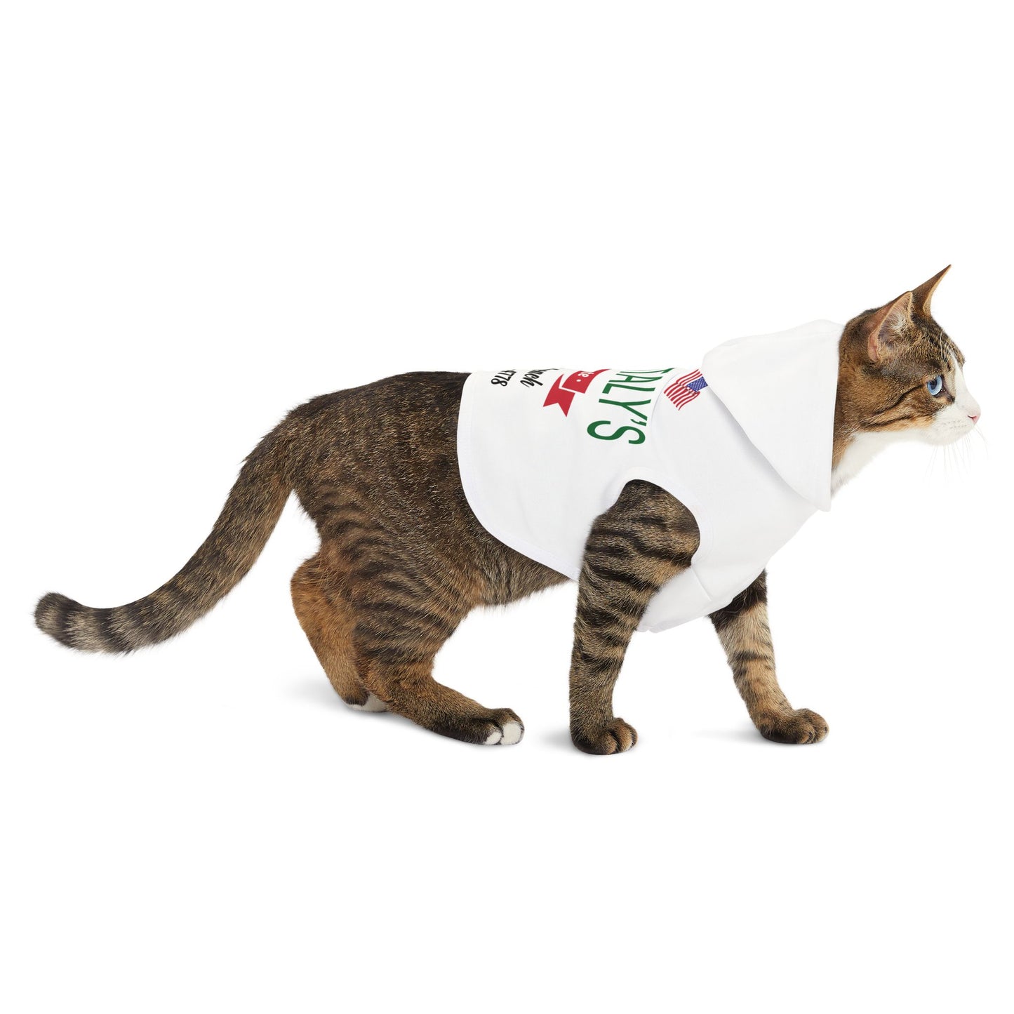 Little Italy's Ristaurante Pet Hoodie | Ormond Beach | Italian American Flag Logo