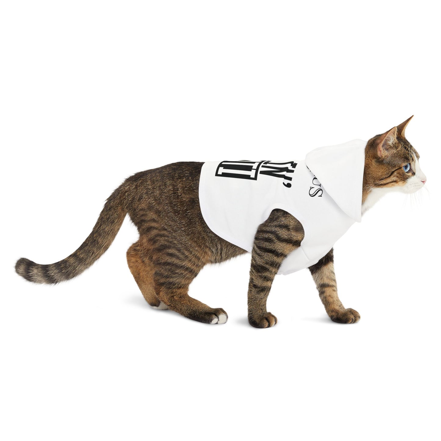 Pet Hoodie — "Feelin' Nauti" Nautical Anchor Dog & Cat Hoodie